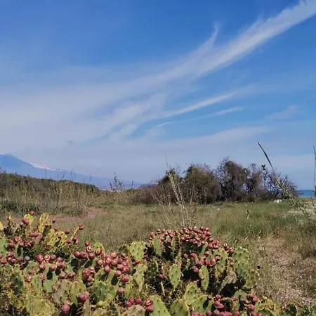 公寓 Seaside Village 卡塔尼亚